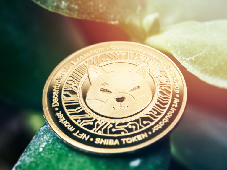 invest crypto 31