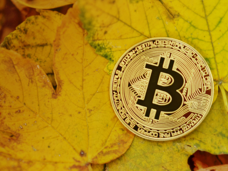 invest crypto 51