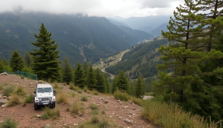 la transition de brittany arnason de proprietaire bricoleur a investisseur immobilier passif python 1759328473