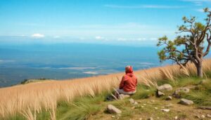 Stratégies de sortie innovantes en capital-investissement : les tendances actuelles