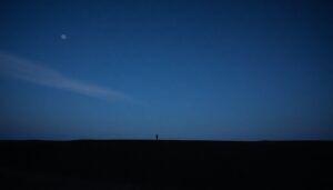 Analyse détaillée des variations du marché locatif en France : tendances et impacts